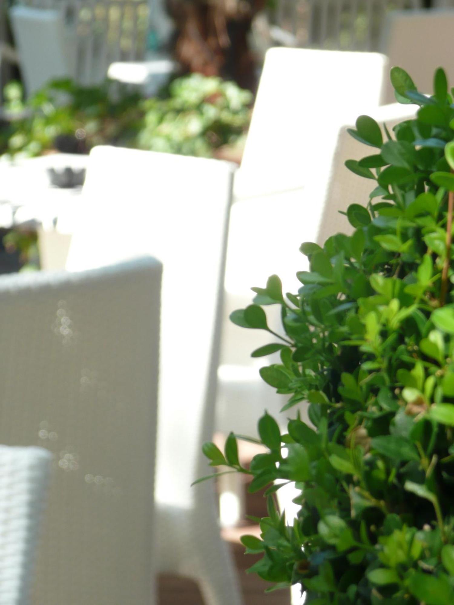 Flora Milano Marittima