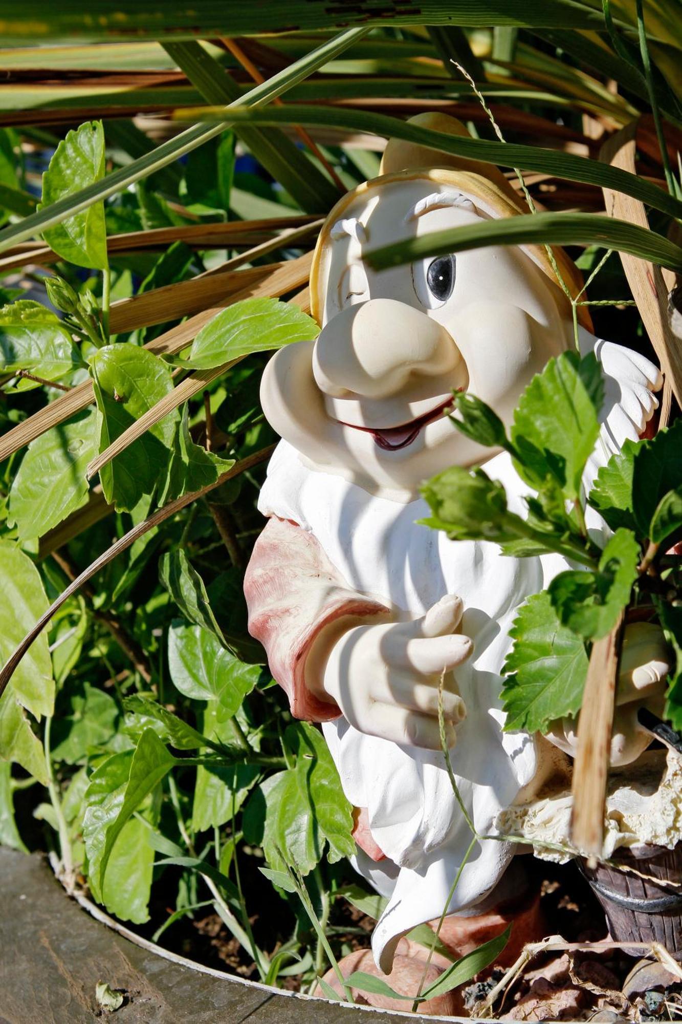 Hotel Flora Milano Marittima